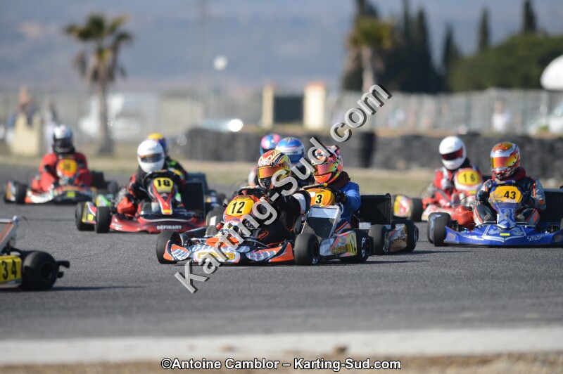 DSC_5248.jpg