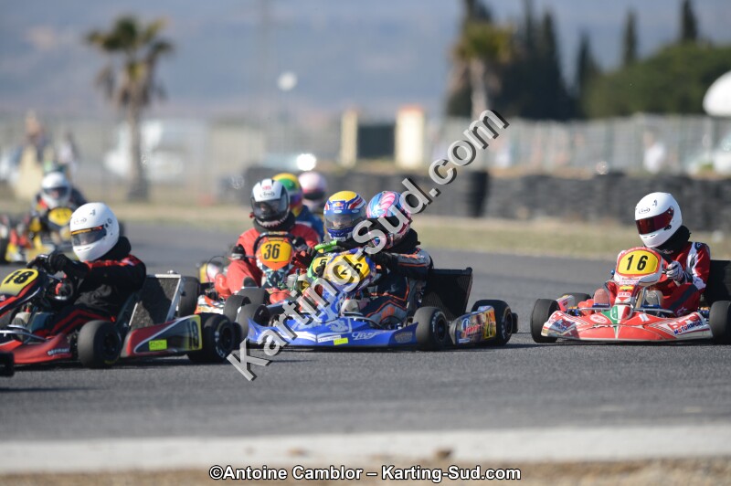 DSC_5249.jpg
