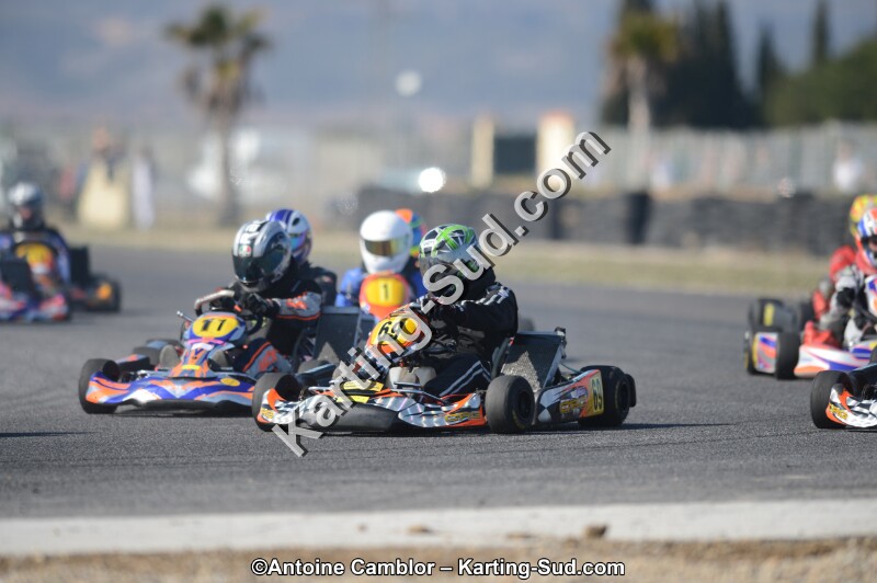 DSC_5252.jpg