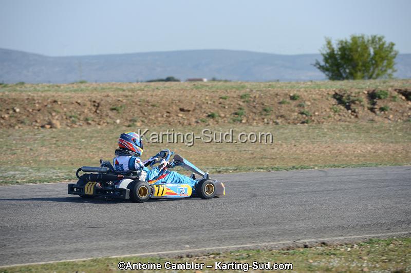 DSC_0219.jpg