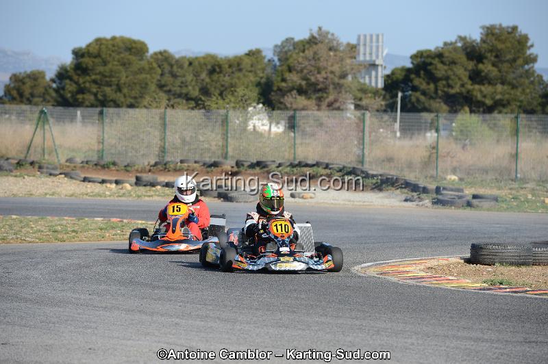 DSC_0222.jpg