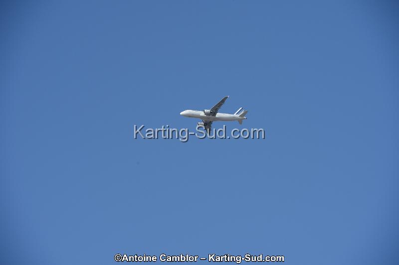 DSC_0339.jpg