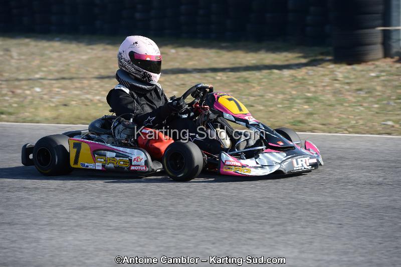 DSC_0375.jpg