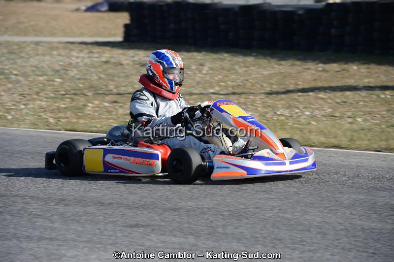 DSC_0382.jpg