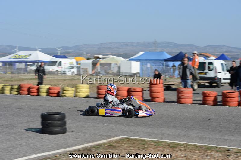 DSC_0398.jpg