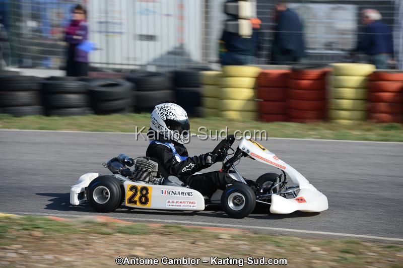 DSC_0455.jpg