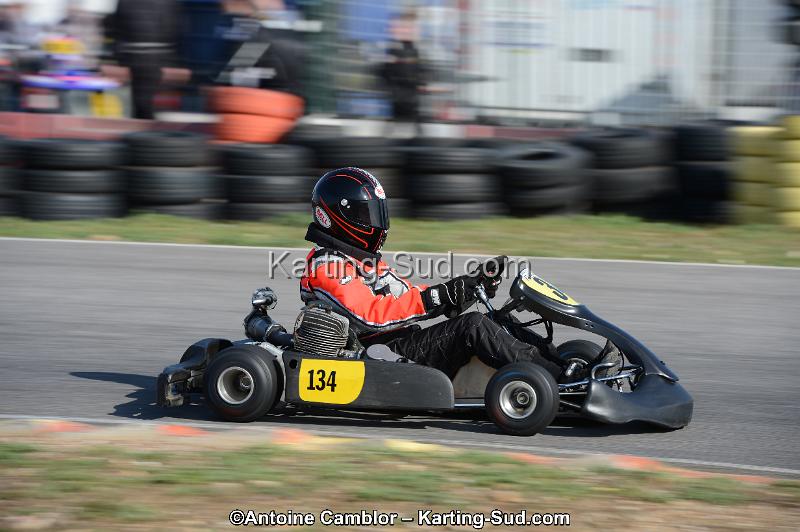 DSC_0481.jpg