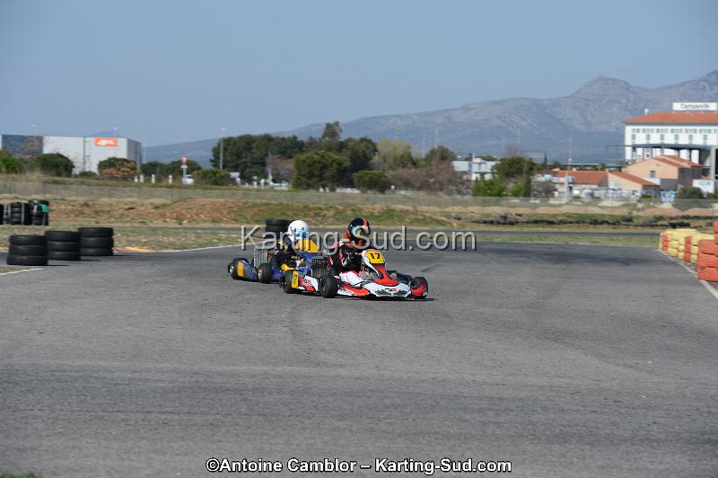 DSC_0526.jpg