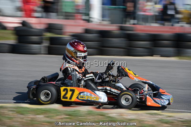 DSC_0546.jpg