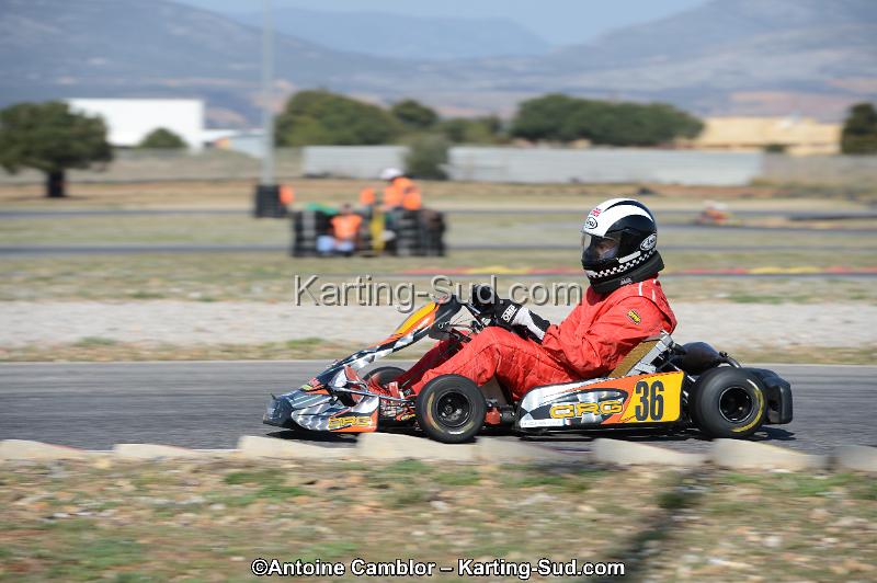 DSC_0726.jpg