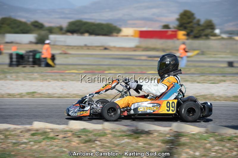 DSC_0733.jpg