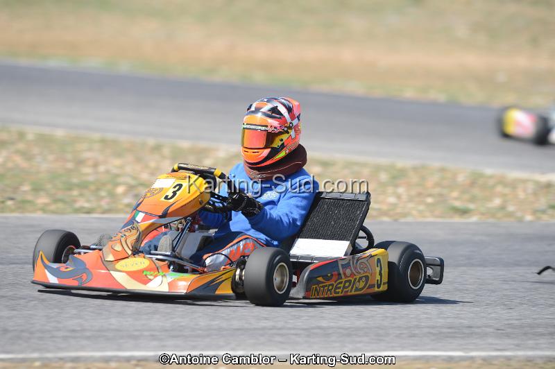 DSC_1031.jpg