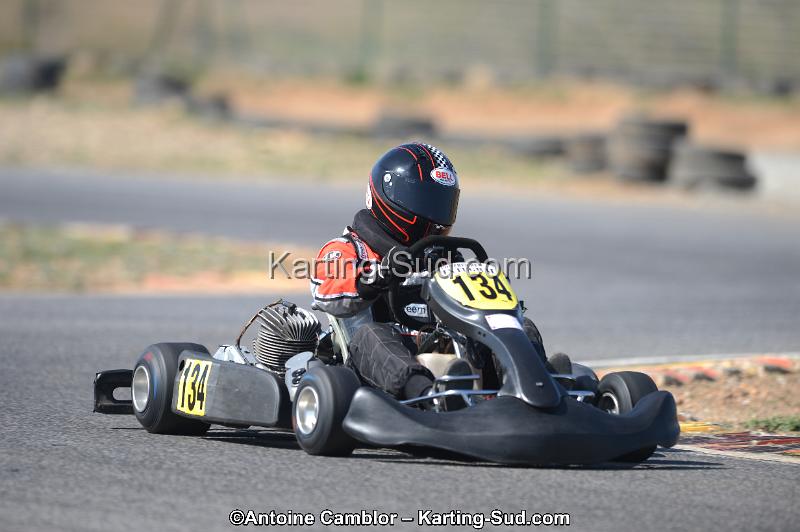 DSC_1101.jpg