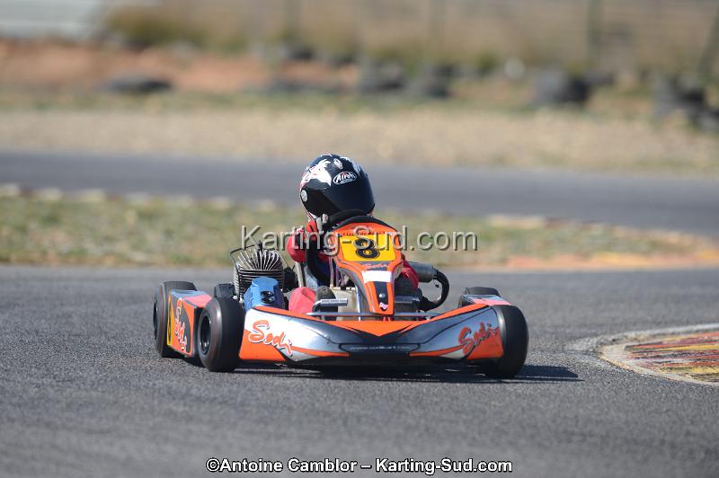 DSC_1195.jpg