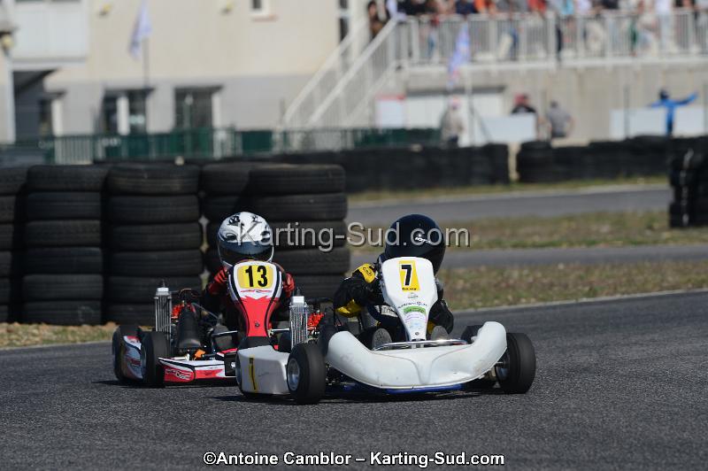 DSC_1411.jpg