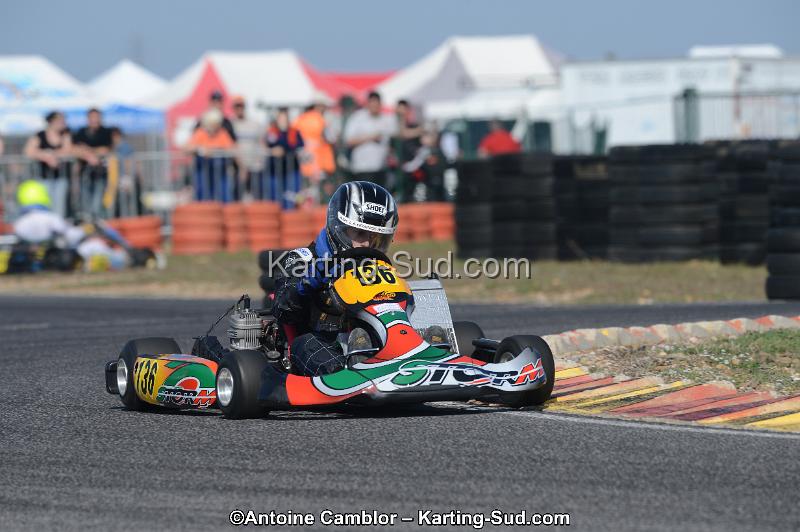 DSC_1442.jpg