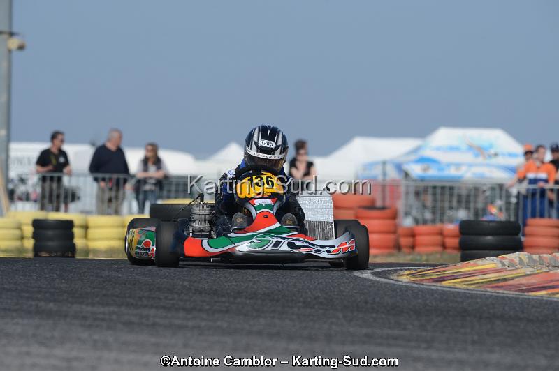 DSC_1468.jpg