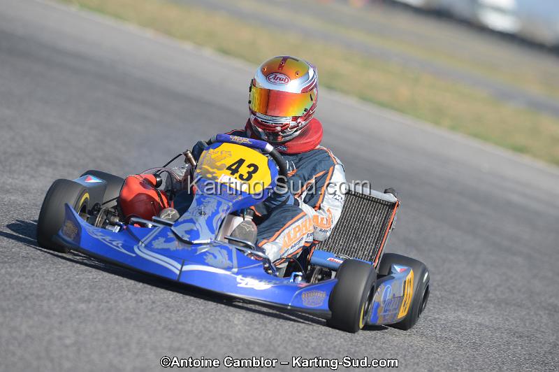 DSC_1534.jpg