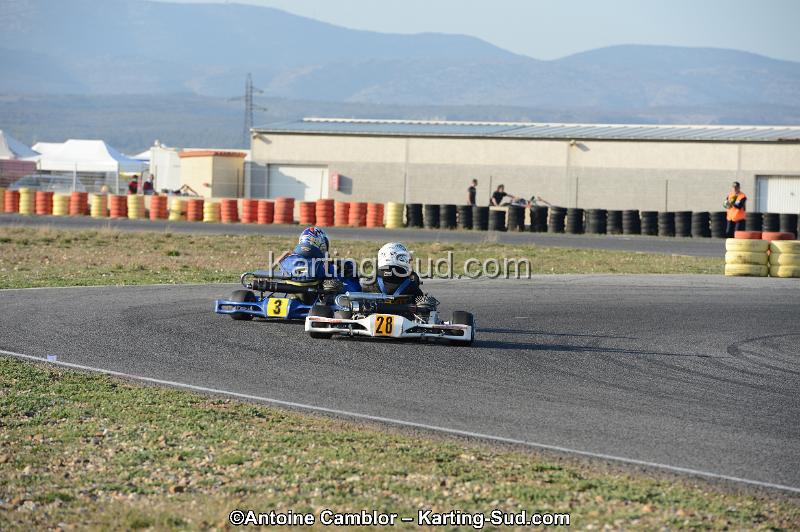 DSC_2000.jpg