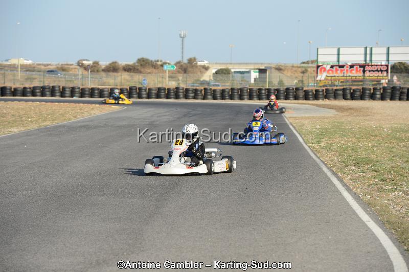 DSC_2017.jpg