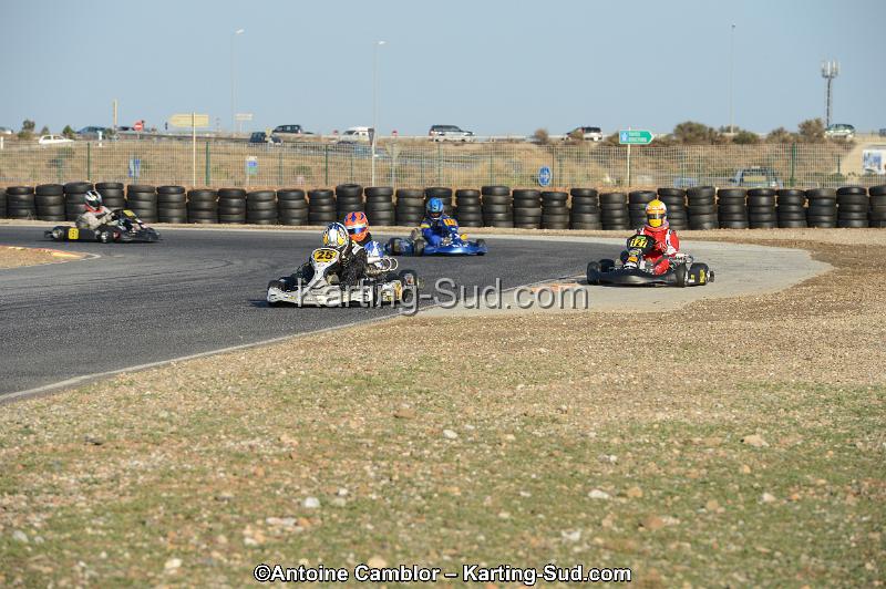 DSC_2040.jpg