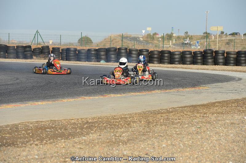 DSC_2076.jpg