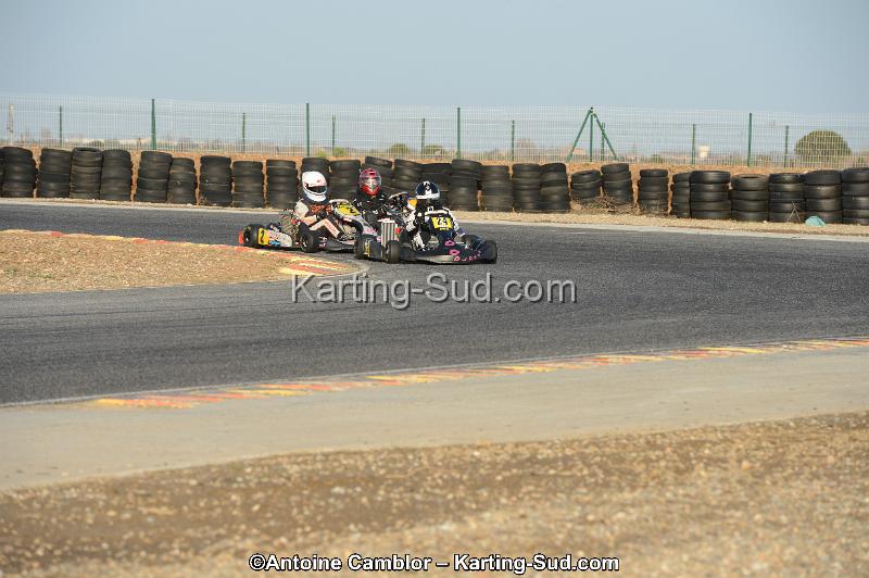 DSC_2124.jpg