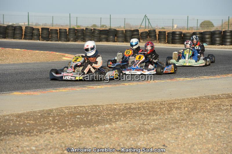 DSC_2125.jpg