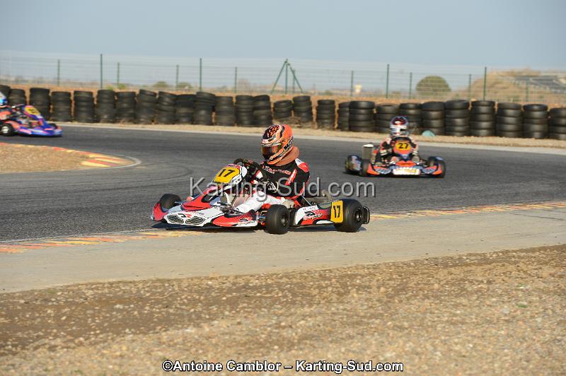 DSC_2131.jpg