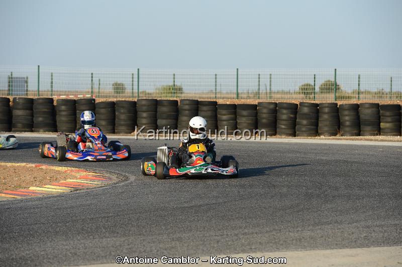 DSC_2177.jpg