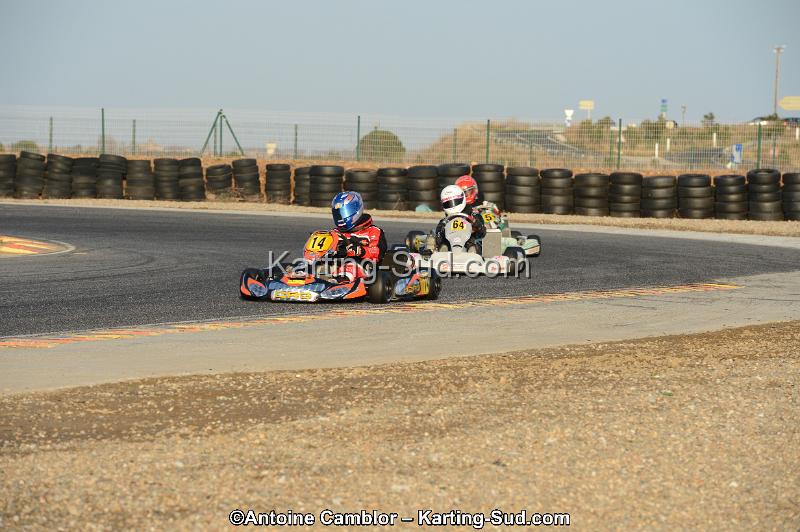 DSC_2203.jpg