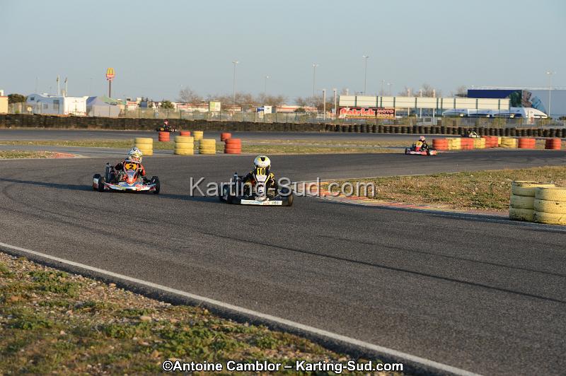 DSC_2303.jpg