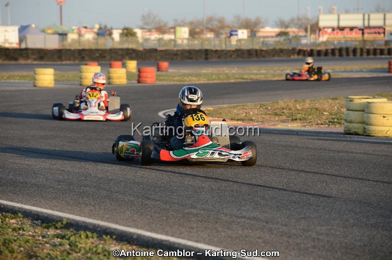 DSC_2331.jpg