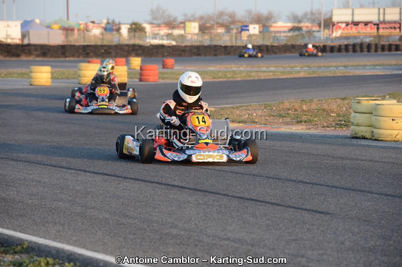 DSC_2390.jpg