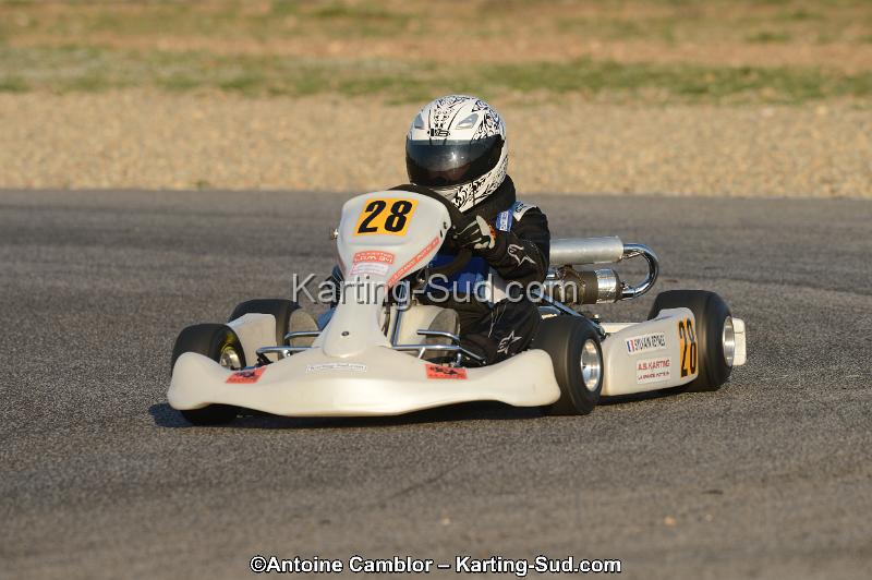 DSC_2779.jpg