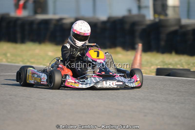 DSC_2915.jpg