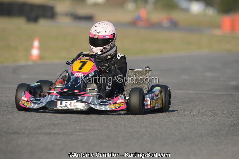 DSC_2955.jpg