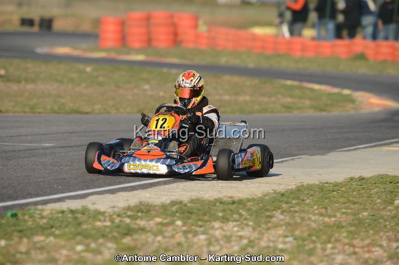 DSC_2981.jpg