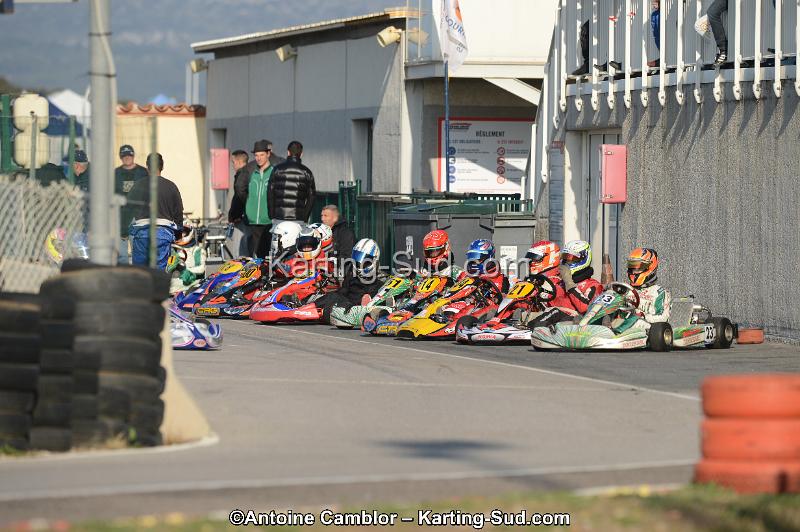 DSC_3032.jpg