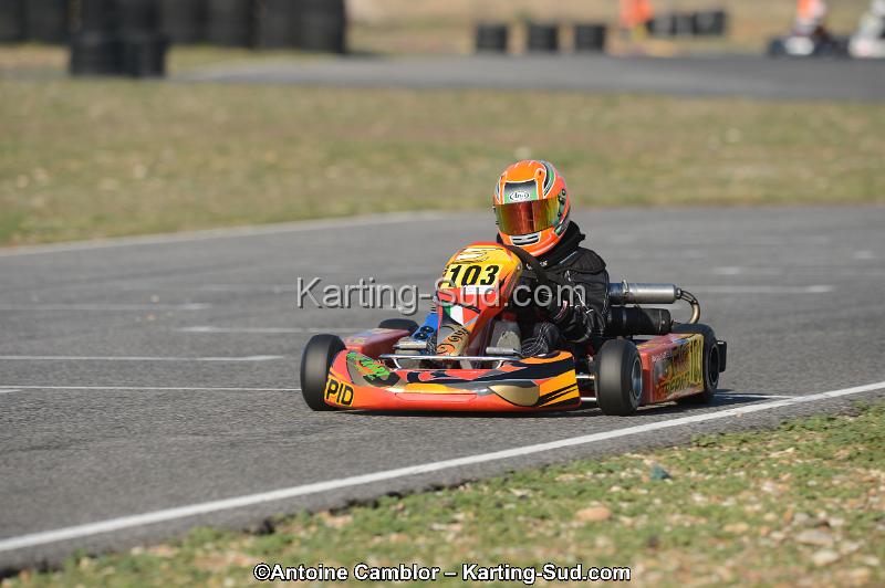 DSC_3305.jpg