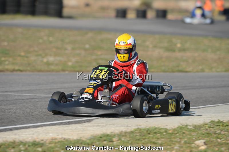 DSC_3451.jpg