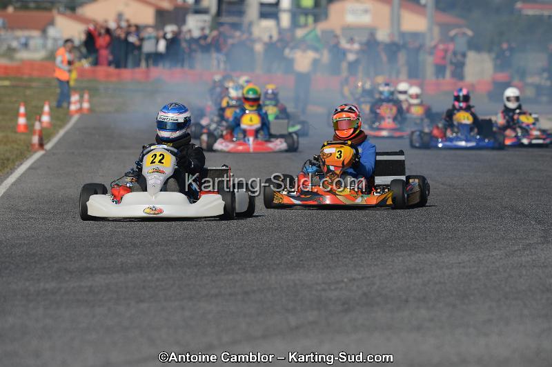 DSC_3533.jpg