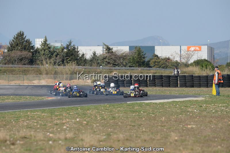 DSC_3675.jpg