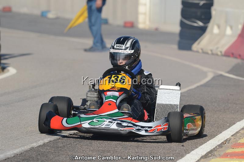 DSC_3738.jpg