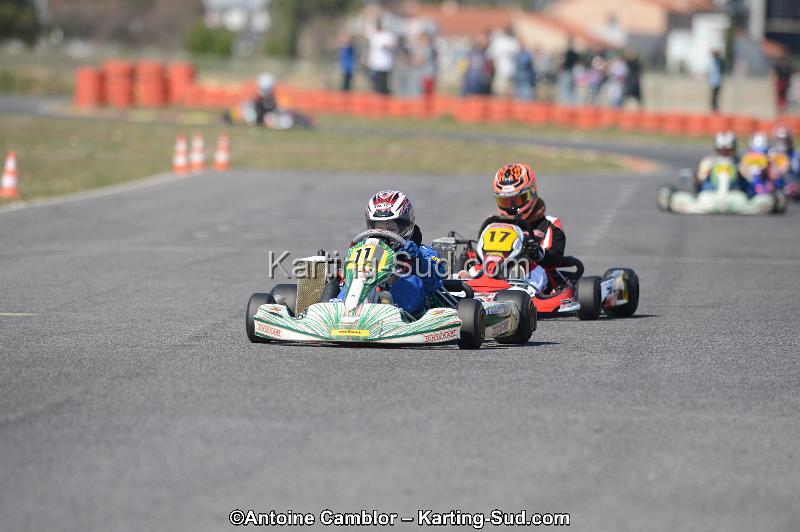 DSC_3975.jpg