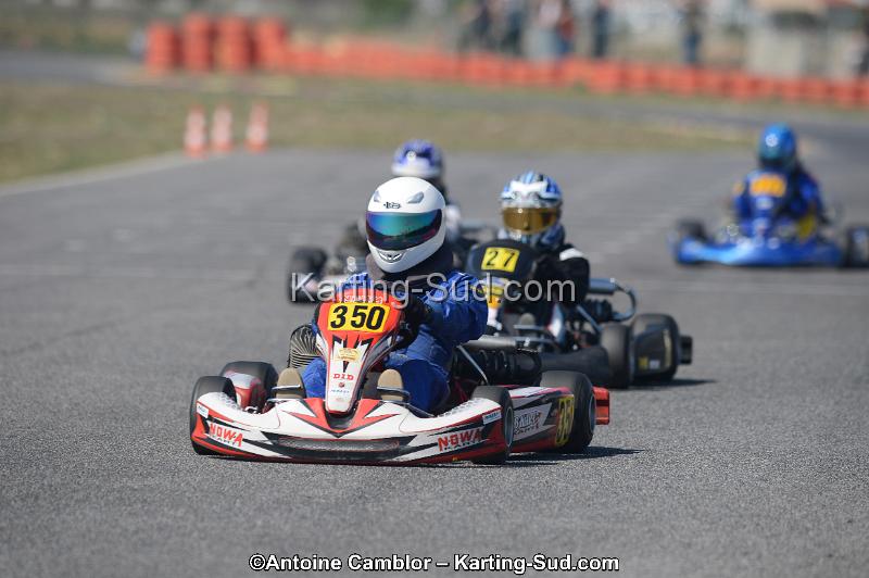 DSC_4233.jpg
