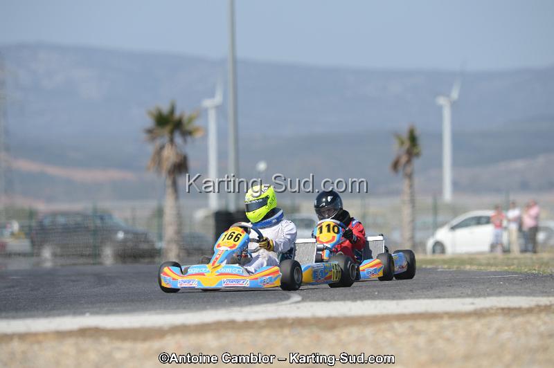 DSC_4390.jpg