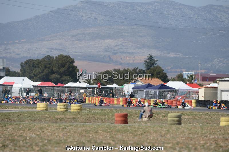 DSC_4443.jpg