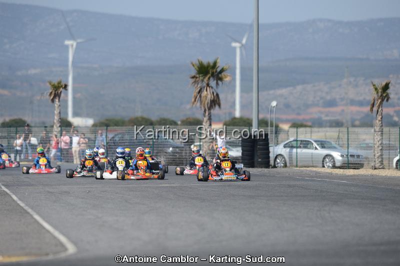 DSC_4445.jpg