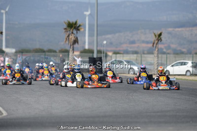 DSC_4446.jpg